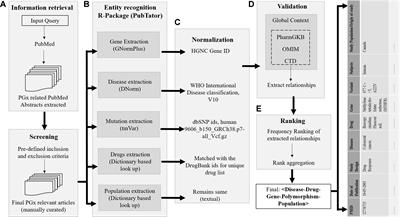 Global Text Mining and Development of Pharmacogenomic Knowledge Resource for Precision Medicine